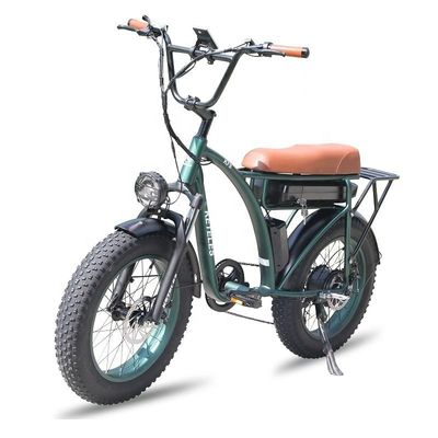 23AH Bateria Capacidade 1000W 2000W Motor 20 polegadas Fat Bike Bike Elétrico suporte personalizado