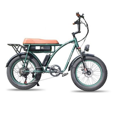 23AH Bateria Capacidade 1000W 2000W Motor 20 polegadas Fat Bike Bike Elétrico suporte personalizado