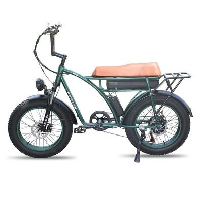 23AH Bateria Capacidade 1000W 2000W Motor 20 polegadas Fat Bike Bike Elétrico suporte personalizado