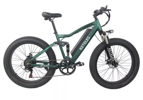 48V 250W Motor Electric Mountain Bike com bateria de lítio de 10AH e bateria integrada