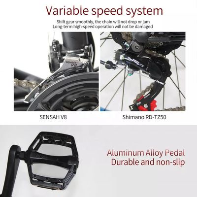 48V 250W Motor Electric Mountain Bike com bateria de lítio de 10AH e bateria integrada