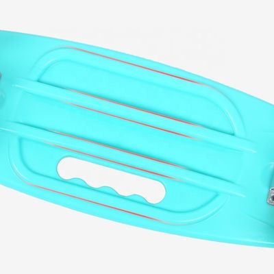 Tabuleiro de peixe pequeno portátil Tabuleiro de skate impresso Quatro rodas Flash Scooter de Mobilidade para meninos e meninas