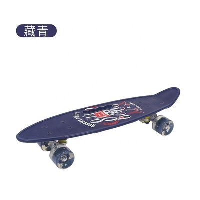 Tabuleiro de peixe pequeno portátil Tabuleiro de skate impresso Quatro rodas Flash Scooter de Mobilidade para meninos e meninas