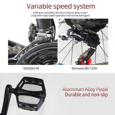 Quadro de liga de alumínio 48V 13AH Bateria de lítio Pneus gordos Bicicleta elétrica com motor de 1000W