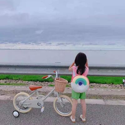 Alloy Rim INS Style 16 Inches Retro Bicicleta infantil de velocidade única para crianças de 4 a 8 anos